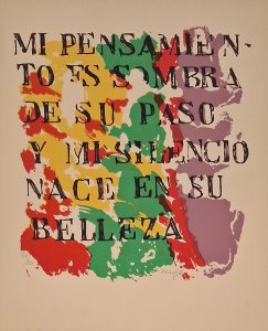 Obra: Adoticos cielos - Julio Verdi