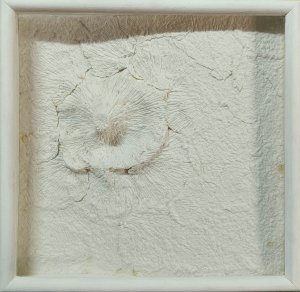 Obra: Obra sin titulo de la serie cajas blancas - Rimer Cardillo
