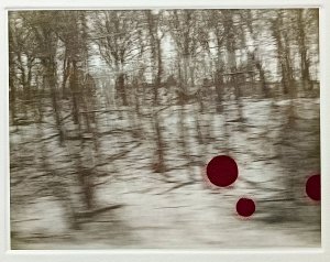 Obra: Pasaje II - Alicia Mihai Gazcue